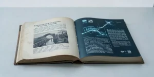 Иллюстрация к статье «Влияние русского классического романа на литературу»